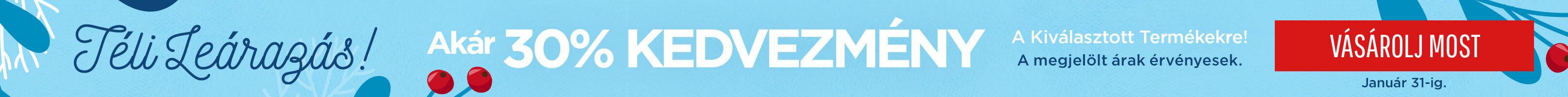 Winter Sale Skinny Banner North/UK